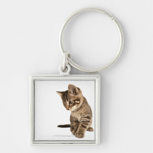 Kitten 2 sleutelhanger (Voorkant)