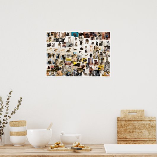 Kitten Academy 1 an Poster (Cuisine)