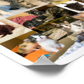 Kitten Academy 1 an Poster (Coin)