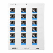 Kitten Adopter et aimer Étiquette de adresse (Feuille entière)