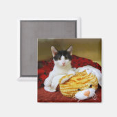 Kitten Avec Aimant Tiger Jouet (Recto/Verso)