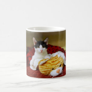 Kitten Avec Jouet Tiger Mug