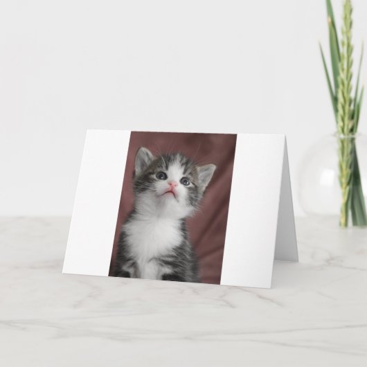 Kitten Bedankkaart (Voorkant)