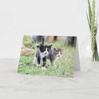 Kitten Bedankkaart