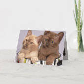 Kitten Bedankkaart (Achterkant)