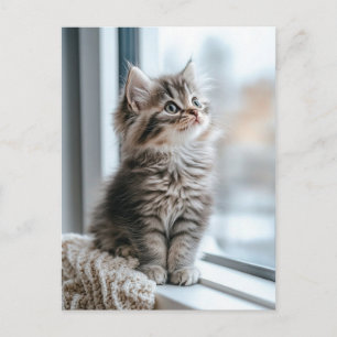 Kitten bij het raam feestdagenkaart