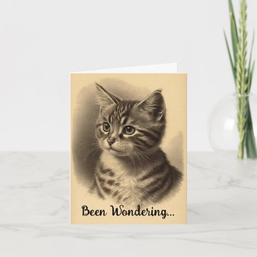 kitten Blijf in contact Wenskaart Kaart (Voorkant)