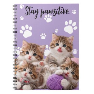 Kitten Blijf Positief Notitieboek