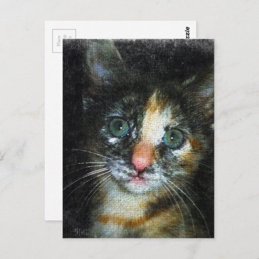 Kitten Briefkaart (Voorkant / Achterkant)