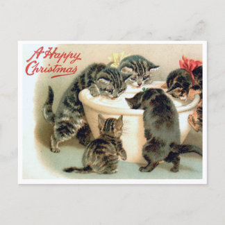  kitten Briefkaart - Schattigee kerstkatten