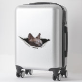 Kitten Canadian Sphynx Autocollant voiture Sphynx (Sur valise)