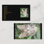 Kitten Carte de visite (Devant / Derrière)