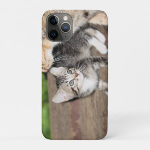 Kitten iPhone 11 Pro Hoesje
