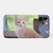 Kitten Case-Mate iPhone Case (Achterkant (horizontaal))