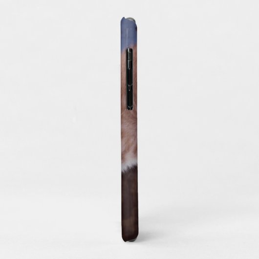 Kitten Case-Mate iPhone Case (Achterkant/links)
