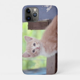 Kitten iPhone 11 Pro Hoesje