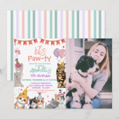 Kitten Cat Laten we Pavty Verjaardag Kaart (Voorkant / Achterkant)