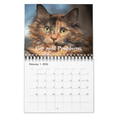 Kitten Cat Lover Photo Collage & Funny Cat Jokes Kalender (Feb 2026)