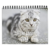 Kitten Cat Lover Photo Collage & Funny Cat Jokes Kalender (Hoes)