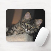 Kitten Chillin' Muismat (Met muis)