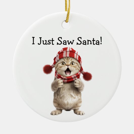 Kitten Christmas Fun Chat Ornement (Devant)