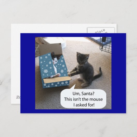 Kitten Christmas Surprise Briefkaart (Voorkant / Achterkant)