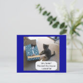 Kitten Christmas Surprise Carte postale (Debout devant)