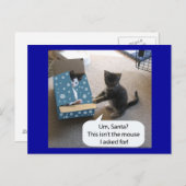 Kitten Christmas Surprise Carte postale (Devant / Derrière)