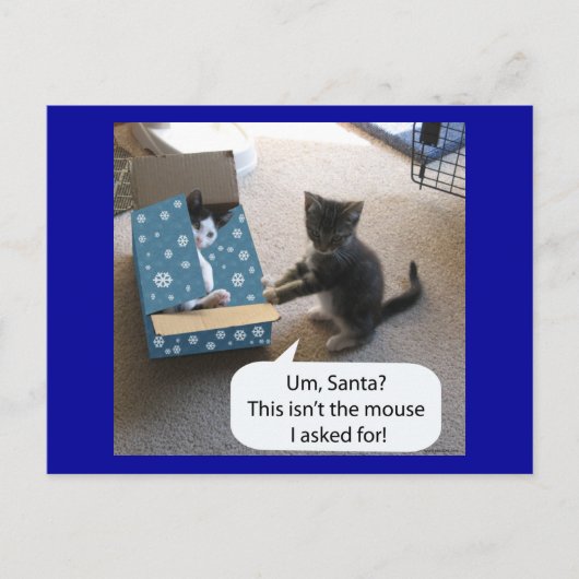 Kitten Christmas Surprise Carte postale (Devant)