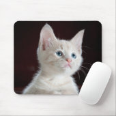 Kitten Cutie Muismat (Met muis)