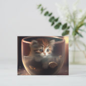 Kitten dans un teup transparent - Carte postale de (Debout devant)