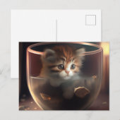 Kitten dans un teup transparent - Carte postale de (Devant / Derrière)