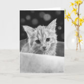 Kitten dans une boîte Carte de voeux (Fleur jaune)