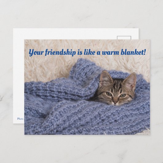 Kitten dans une carte postale (Devant / Derrière)