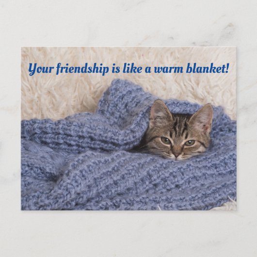 Kitten dans une carte postale (Devant)