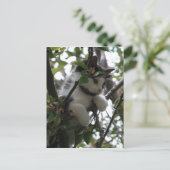 Kitten dans une carte postale arborée (Debout devant)