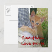 Kitten Dax Love Hurle Carte Postale (Devant / Derrière)