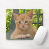 Kitten Dax Mousepad Muismat (Met muis)