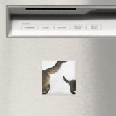 Kitten die opkijkt naar de staart van zijn moeder magneet (Insitu (Vaatwasser))