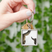 Kitten die opkijkt naar de staart van zijn moeder sleutelhanger (Hand)