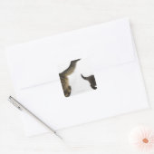 Kitten die opkijkt naar de staart van zijn moeder vierkante sticker (Envelop)