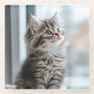 Kitten die uit het raam kijkt glazen onderzetter