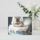 Kitten Dormir dans un Tea-up - Carte postale de ch (Debout devant)