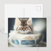 Kitten Dormir dans un Tea-up - Carte postale de ch (Devant / Derrière)
