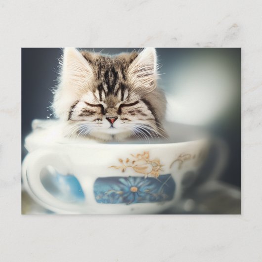 Kitten Dormir dans un Tea-up - Carte postale de ch (Devant)
