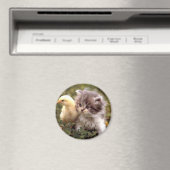 Kitten en Baby Chick Magneet (Insitu (Vaatwasser))