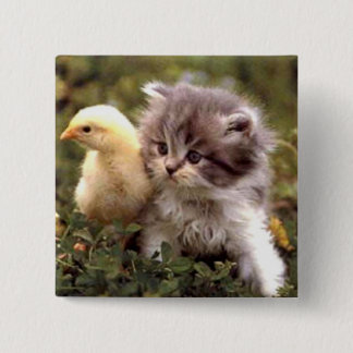 Kitten en Baby Chick Vierkante Button 5,1 Cm