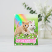 Kitten en Bunny met regenboog Briefkaart (Staand voorkant)