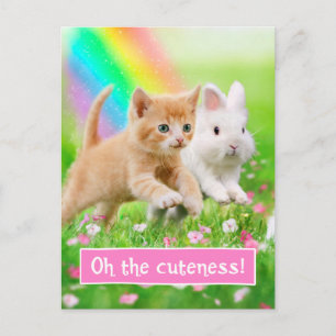 Kitten en Bunny met regenboog Briefkaart