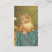  Kitten en Butterfly Visitekaartje (Achterkant)